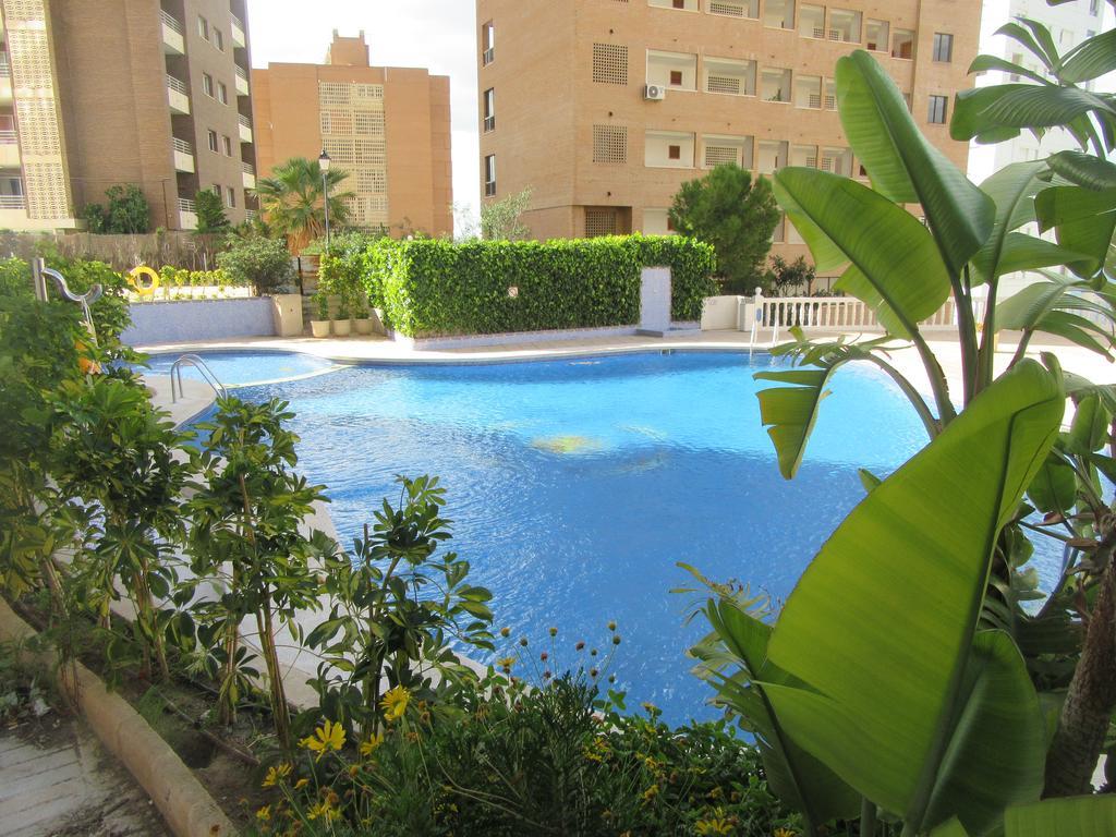 Apartment Diamond Benidorm Chambre photo